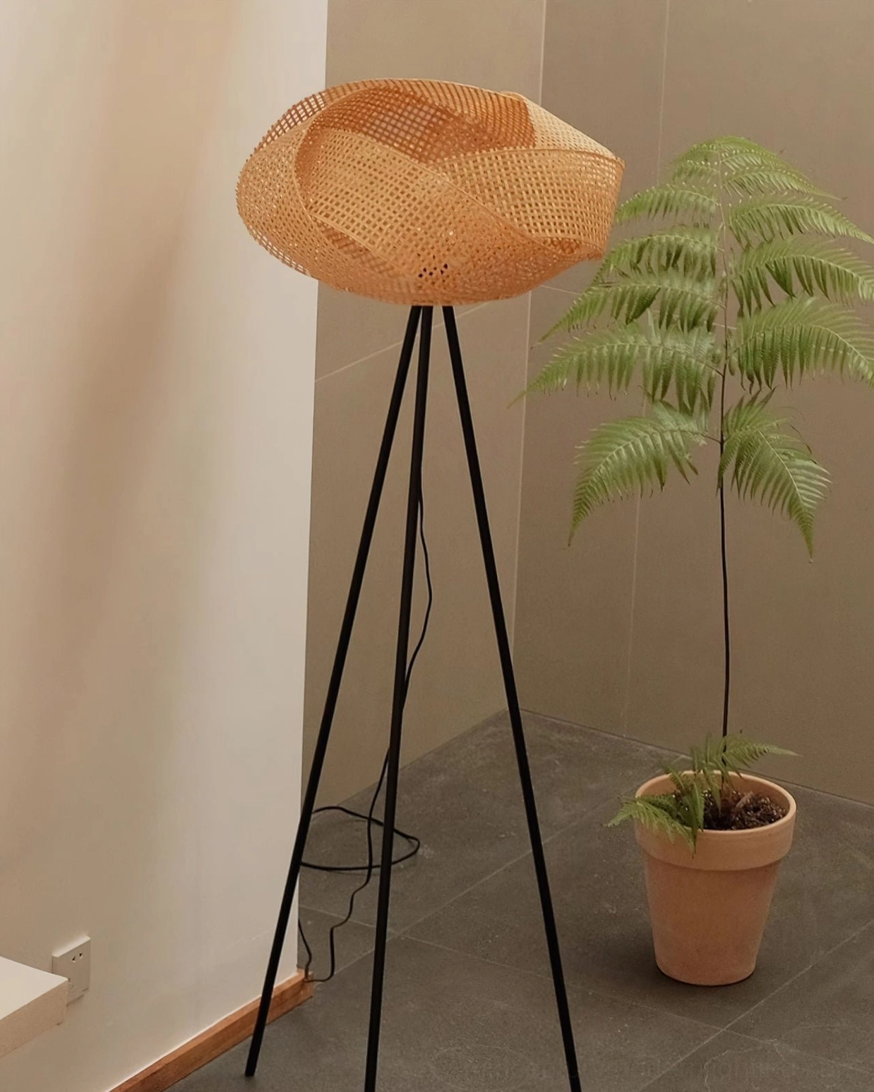 Sleek minimalist bohemian rattan floor lamp in empty home corner with potted fern plant, side flat architectural view