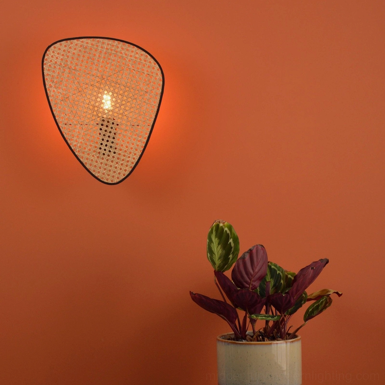 Single woven rattan wall lamp close-up on terracotta accent wall with warm illuminated Edison bulb and potted plant below