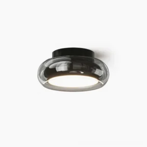 Richard flush mount ceiling lamp with smoked glass shade and black metal base, studio overhead view