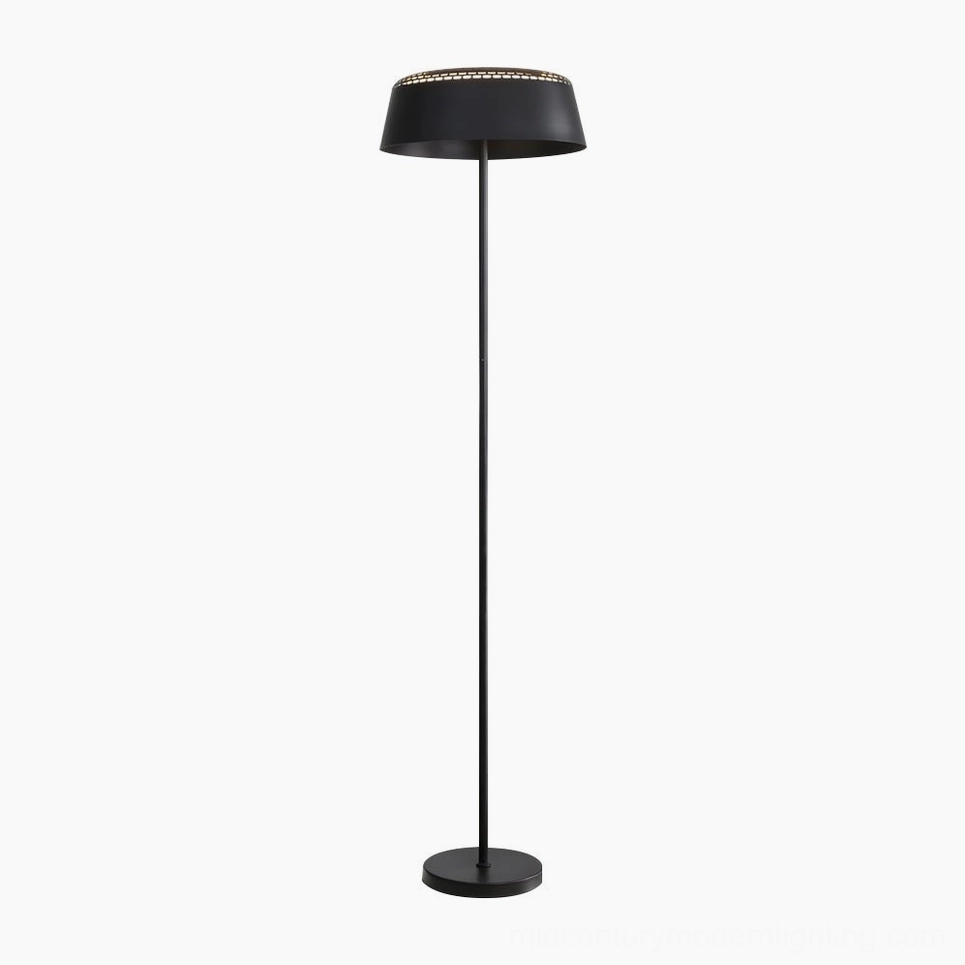 Ring floor lamp black matte finish sophisticated moody interior design