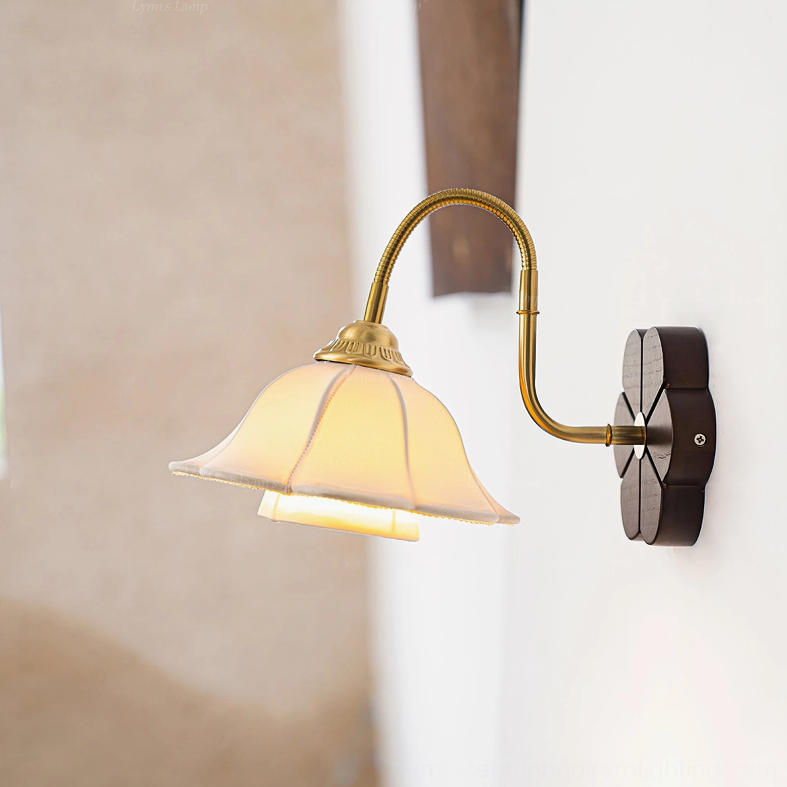 Rosette wall sconce mounted on interior wall with warm light illumination and flexible brass arm detail