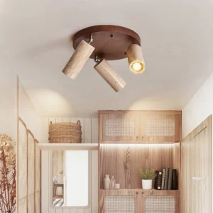Sandia ceiling spotlight installed in Japanese-style entry closet creating warm ambient wabi-sabi lighting