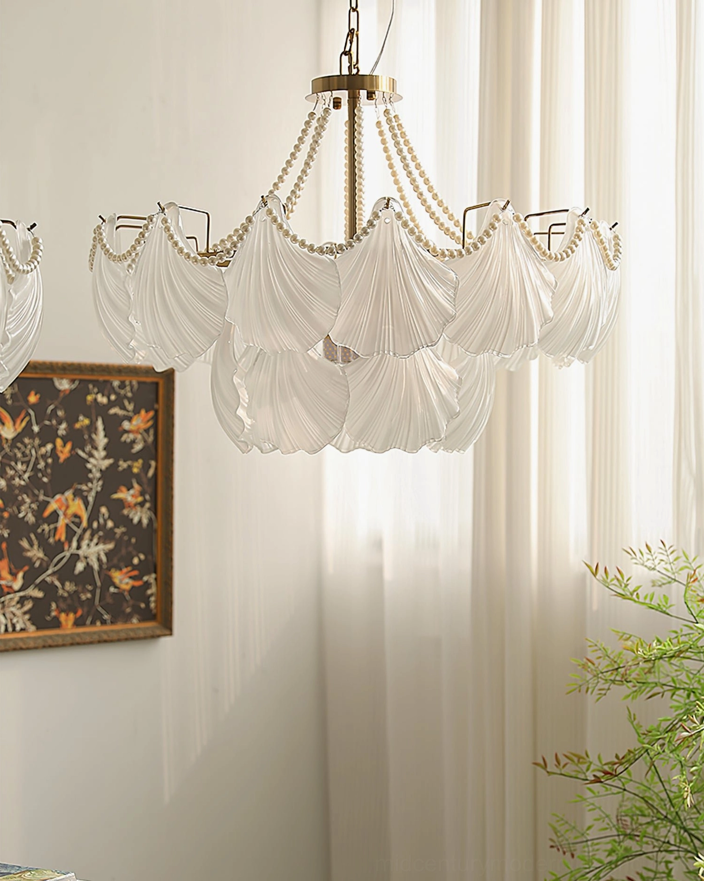 Scallop shell chandelier side profile showing frosted white glass shades and brass mounting hardware