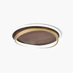 Scandinavian dual-ring LED ceiling light with gold metal frame and walnut wood accent on white background, modern minimalist flush-mount fixture detail