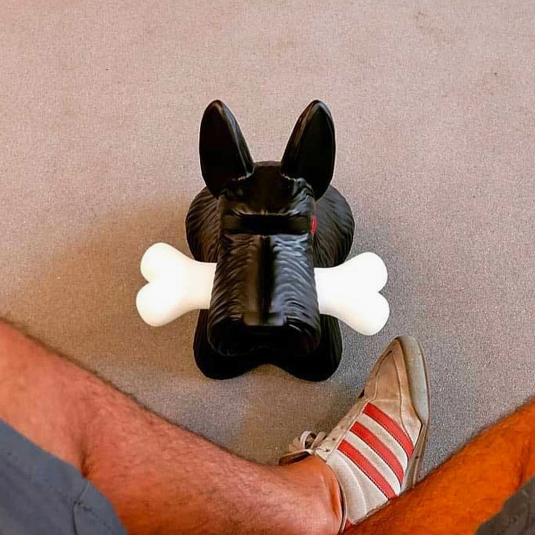 Black Scottie dog lamp illuminated showing bone light glow and resin texture