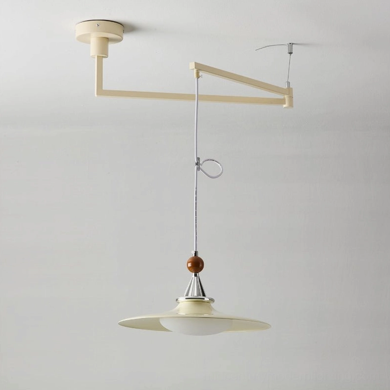 Eden swing arm pendant light close-up showing wood-grain finish on saucer shade, metal frame construction, and mounting details