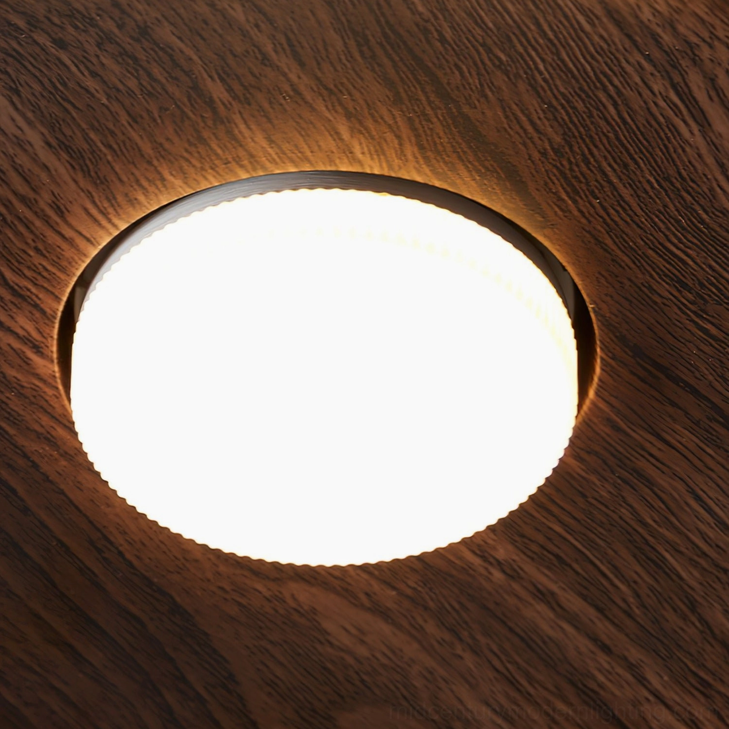 Tambo ceiling lamp extreme close-up showing wood grain texture detail, frosted light diffuser and smooth finish
