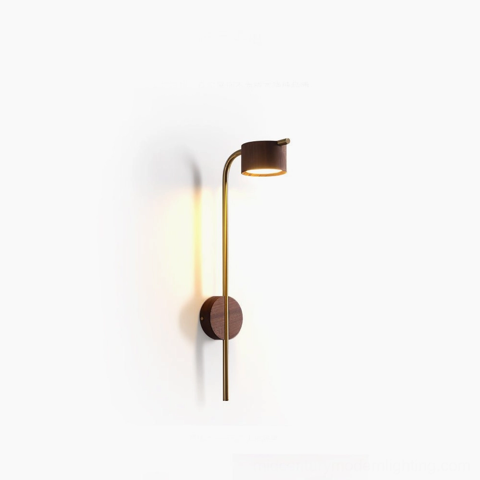 Studio product photography of Terence arched wall sconce, clean white background professional view