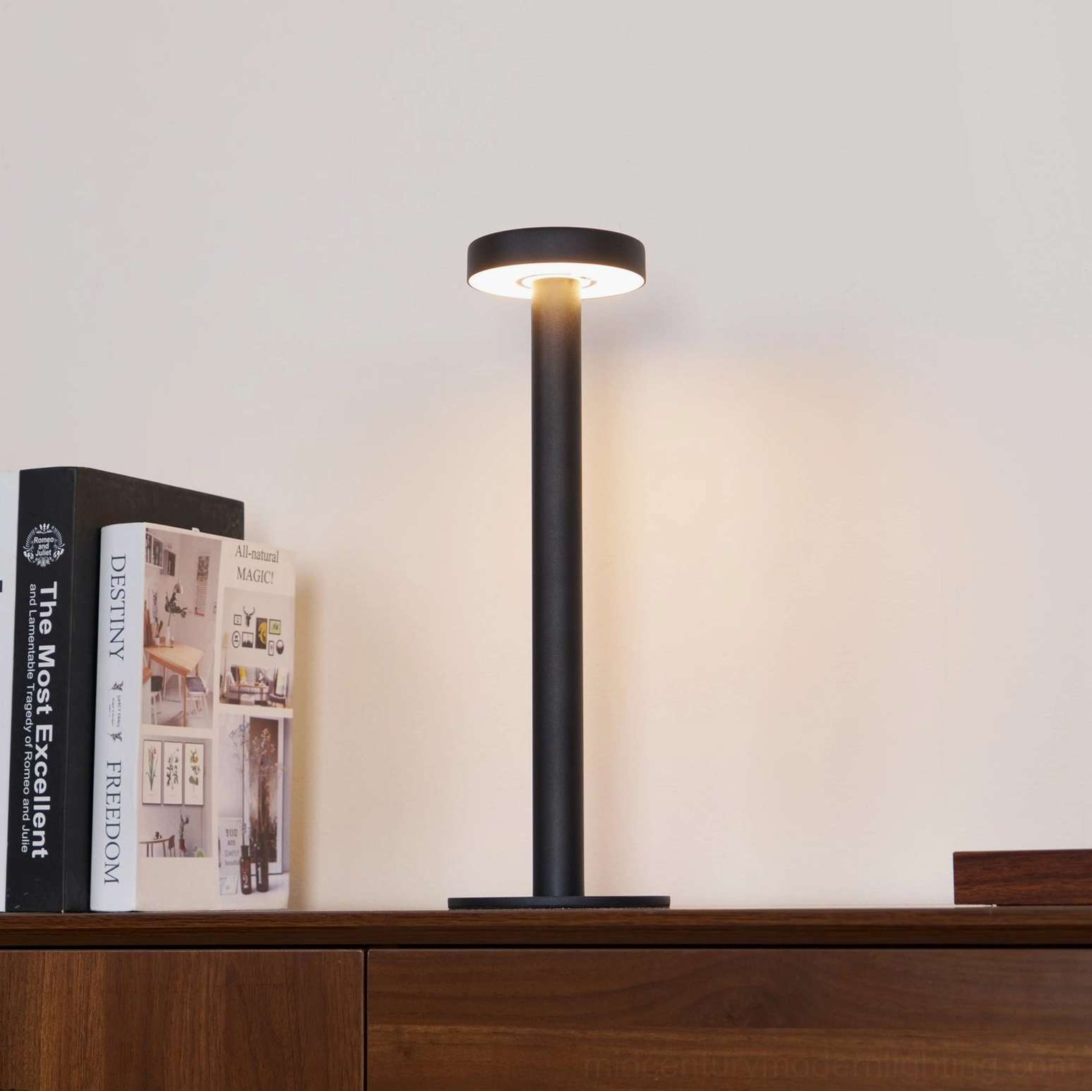 Tetatet minimalist touch lamp white black color options side by side comparison