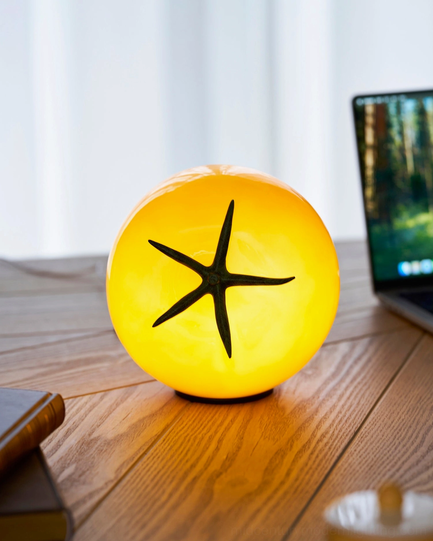 Tomato glass lamp sustainable LED rechargeable eco-conscious lighting