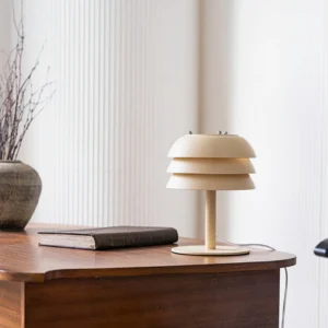 Valencia table lamp on wooden side table with vintage decor, dried plant and book, warm minimalist setting