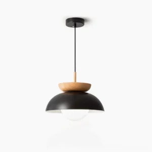 Volo Nordic pendant light with matte black metal shade and wooden accent detail - front view on white background